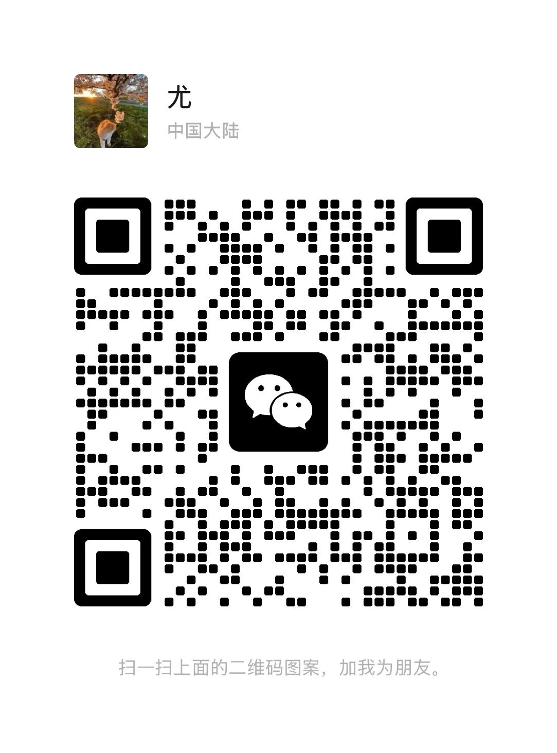 Wechat consulting